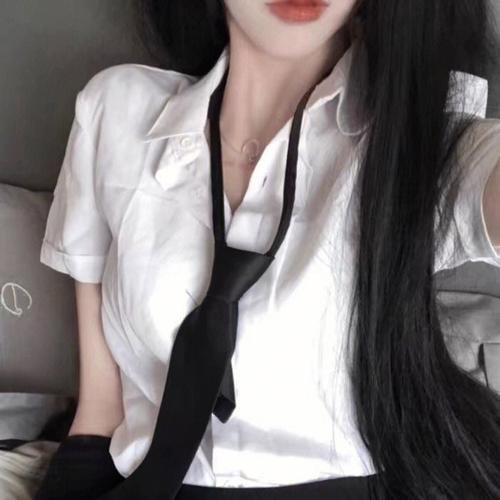 沙漠之王